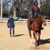Clinic With Olympic Eventer Jill Henneberg